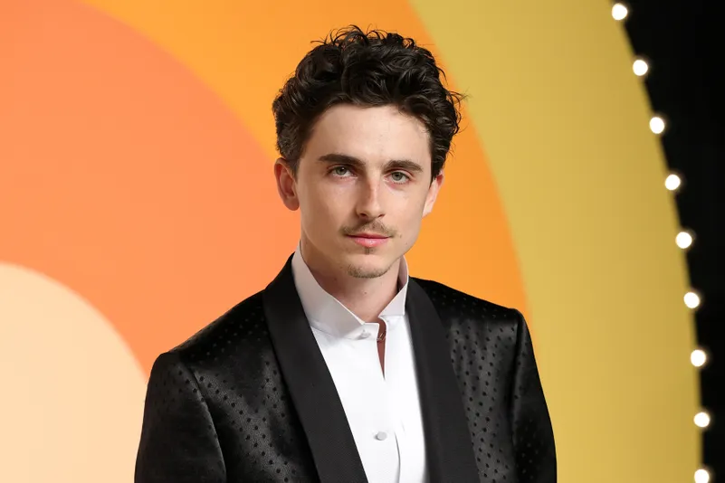 Timothée Chalamet cover